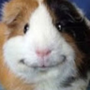 Meet your Posher, Palassa